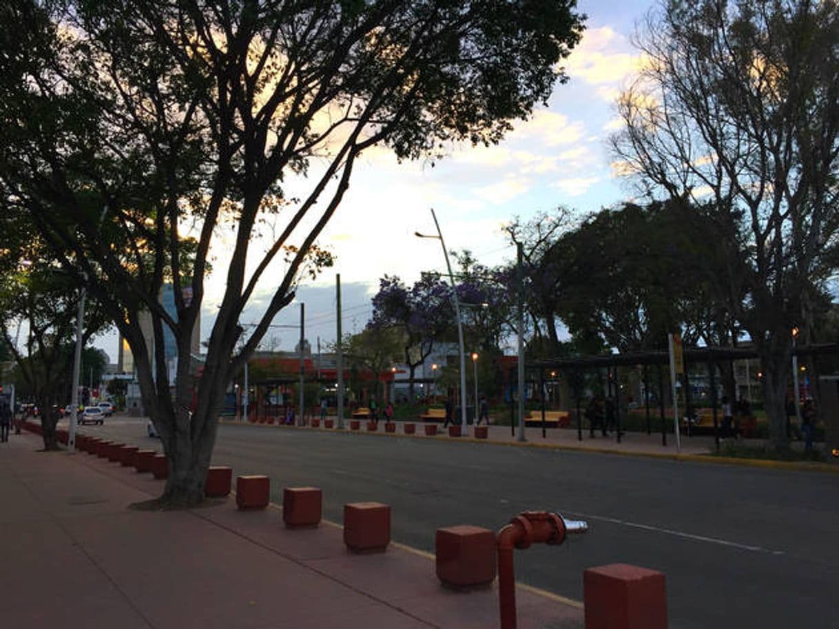 Place Parque Revolución