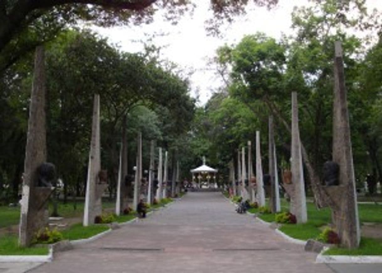 Place Parque Morelos