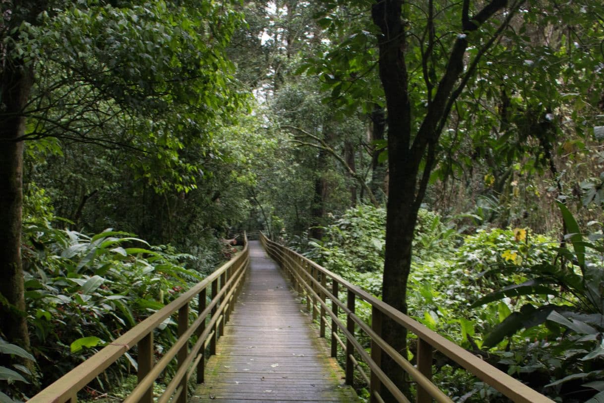 Lugar Parque Ambiental Río Loro