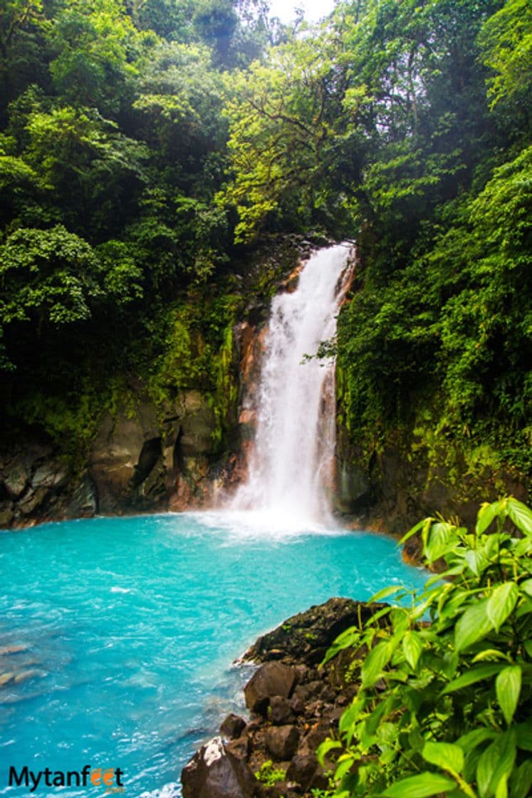 Lugar Rio Celeste Waterfall Parking