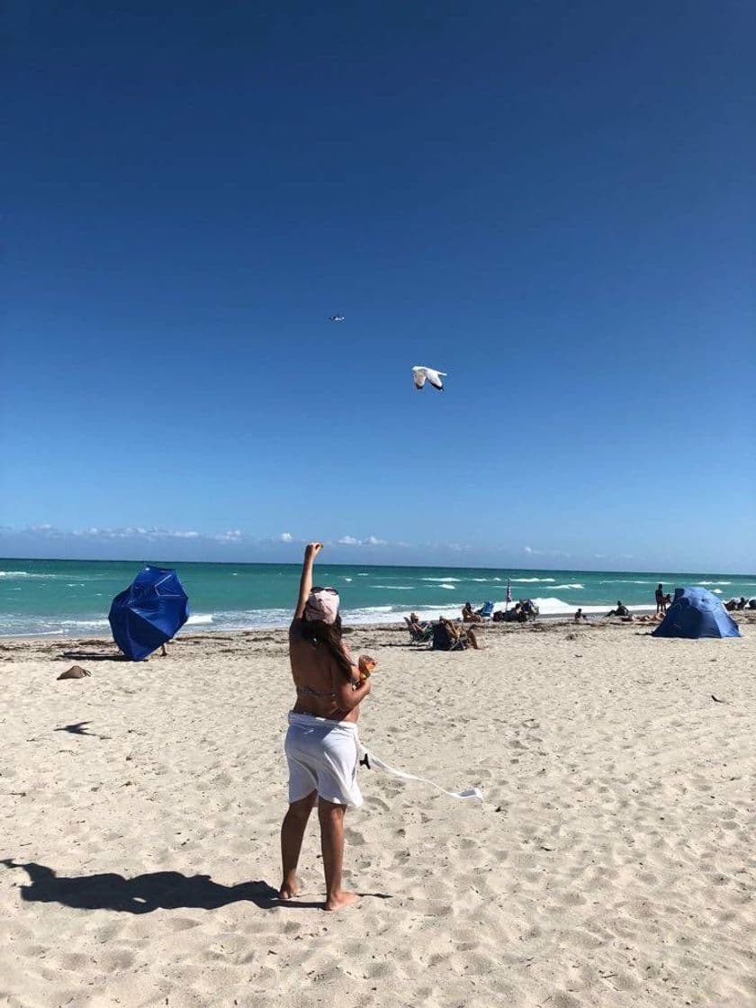 Lugar Hollywood Beach Broadwalk