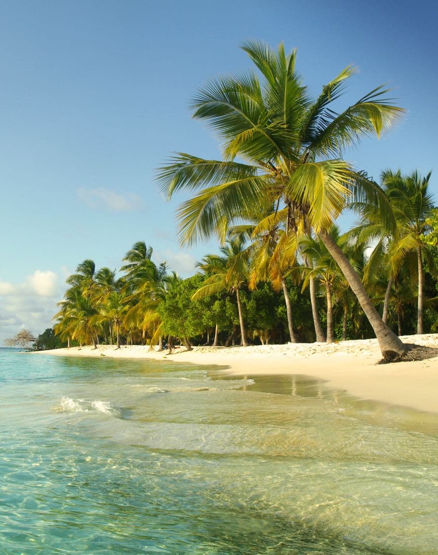 Lugar Parque Nacional Morrocoy