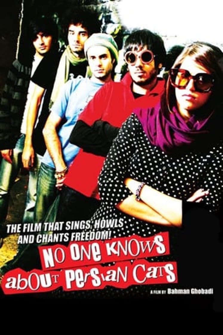 Movie No One Knows About Persian Cats