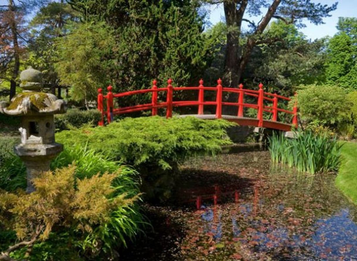 Lugar Kildare, Japanese Gardens