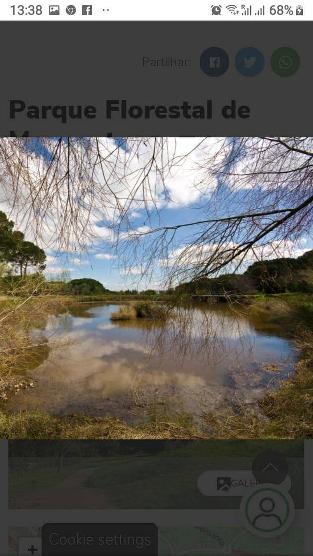 Place Parque Forestal de Monsanto