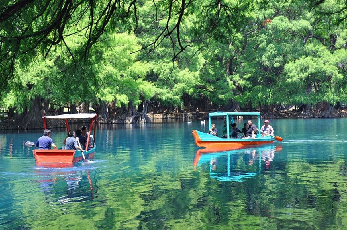 Lugar Lago de Camécuaro