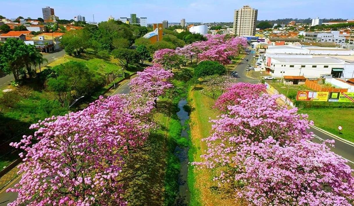 Moda Cidade Paulista