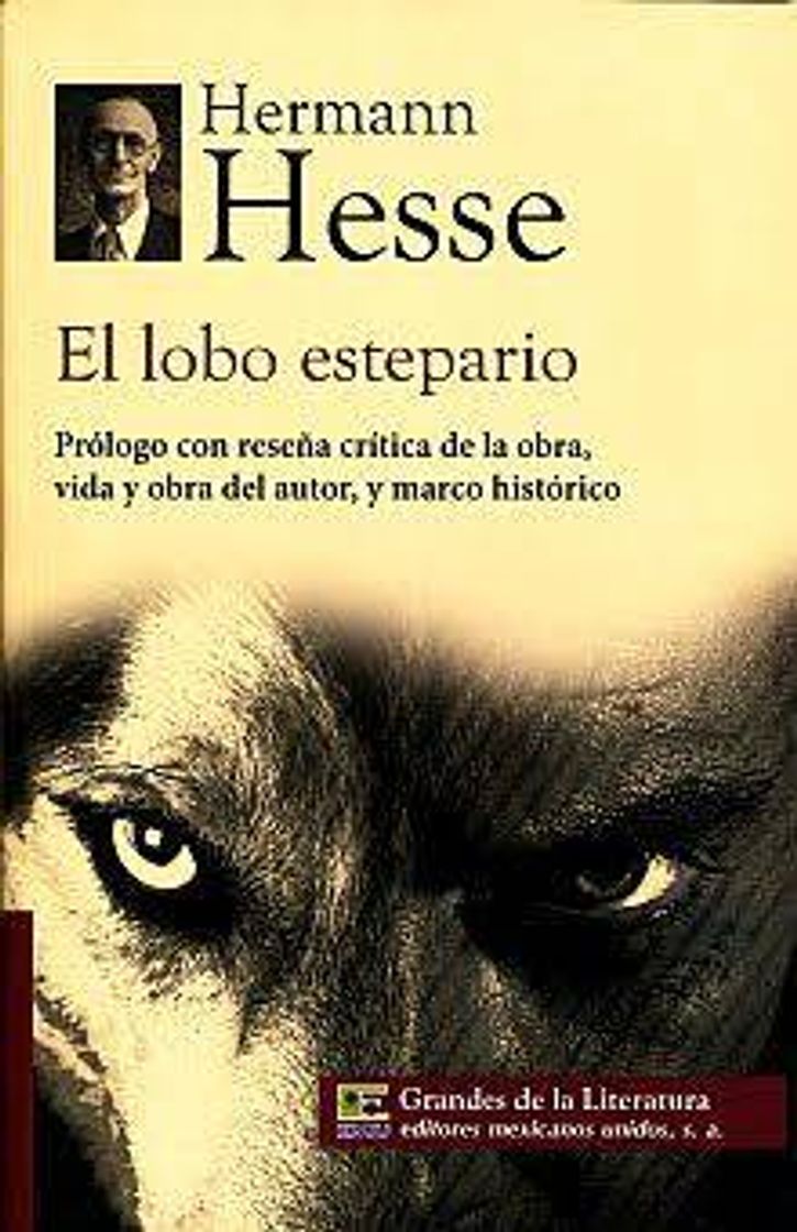 Libro El Lobo Estepario