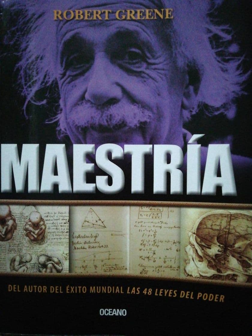 Libro Maestría