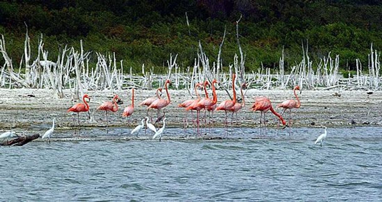 Lugar Lago Enriquillo