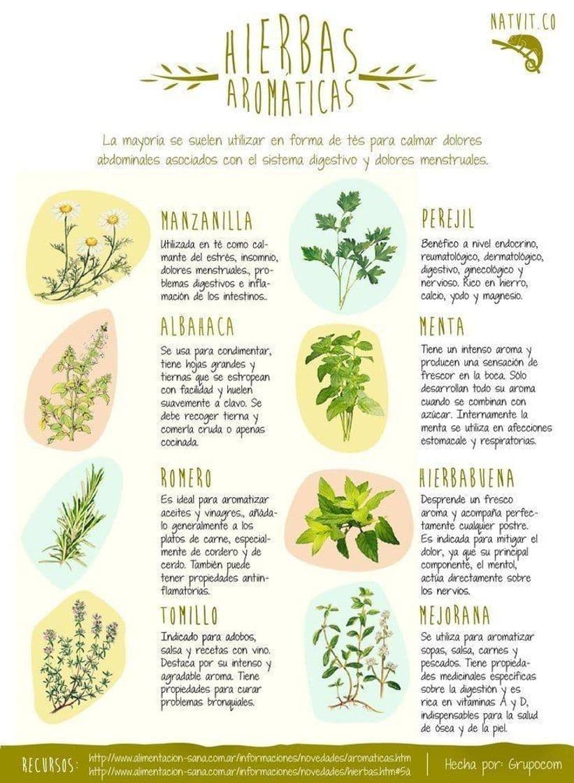 Moda Plantas Aromáticas 