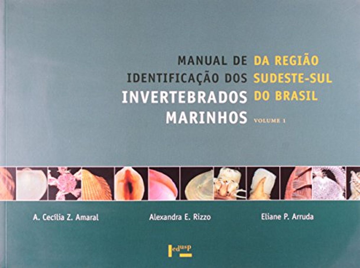 Libro Manual de Identificação dos Invertebrados Marinhos da Região Sudeste