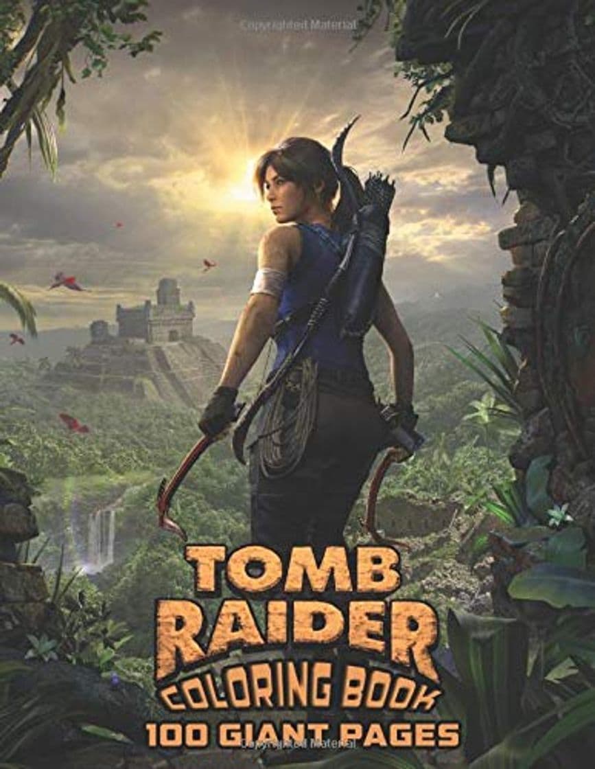 Book Tomb Raider: For Any Fan of Tomb Raider with 100 GIANT PAGES and EXCLUSIVE ILLUSTRATIONS!