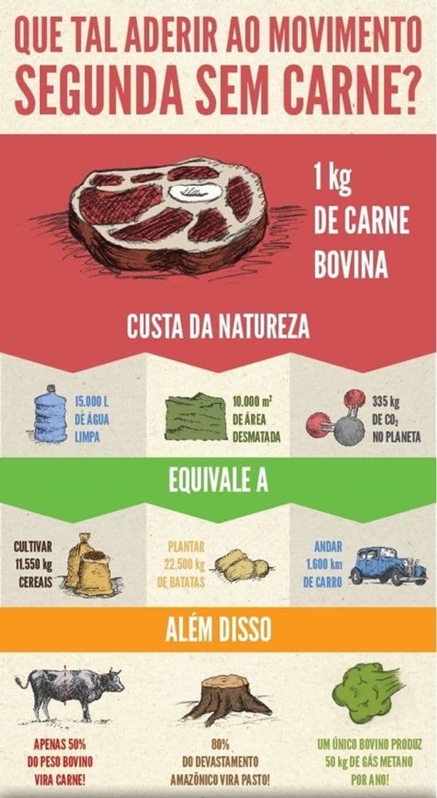 Moda Movimento segunda sem carne 