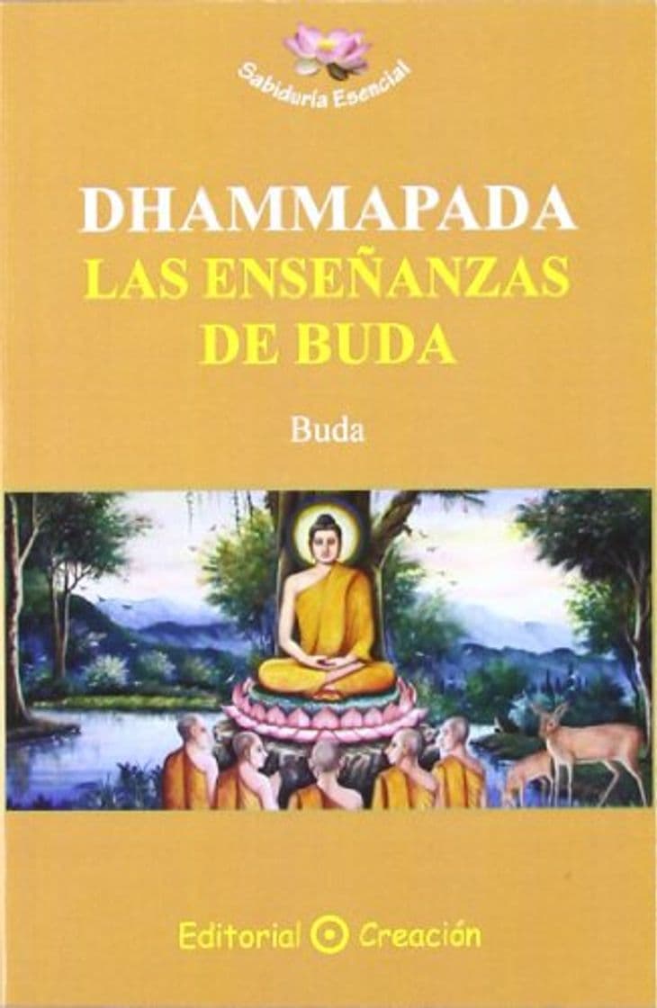 Libro Dhammapada: las enseñanzas de Buda