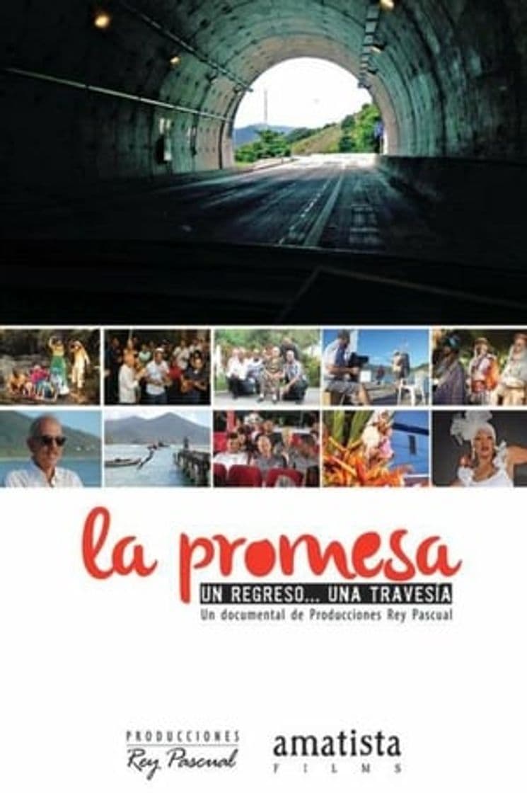 Película La promesa