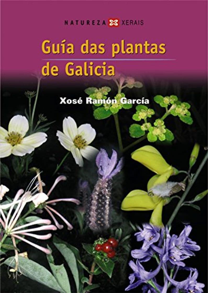 Libro Guía das plantas de Galicia