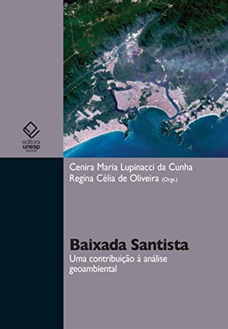 Libro Baixada Santista: uma contribuição à análise  geoambiental