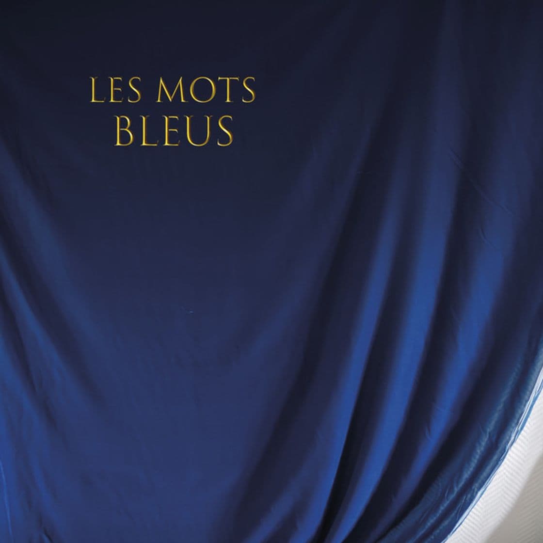 Canción Les mots bleus