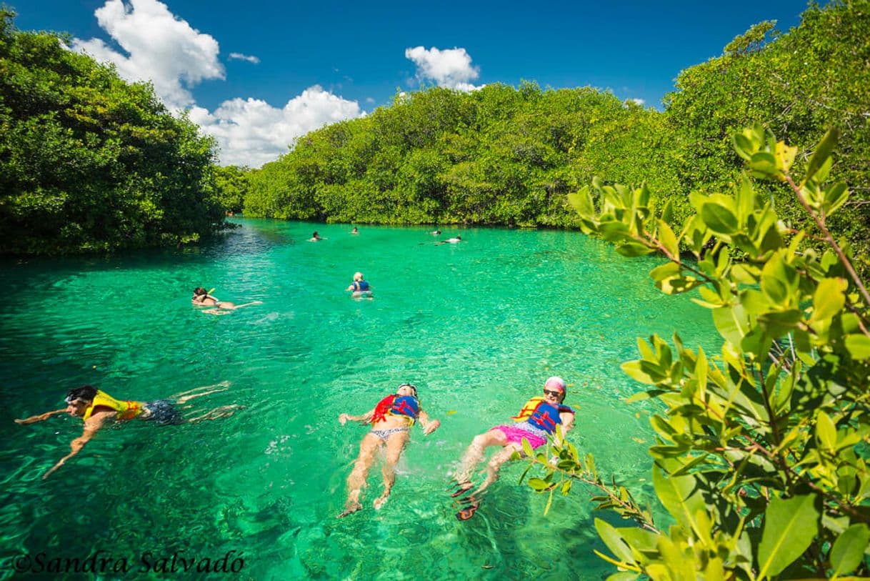 Place Casa Cenote