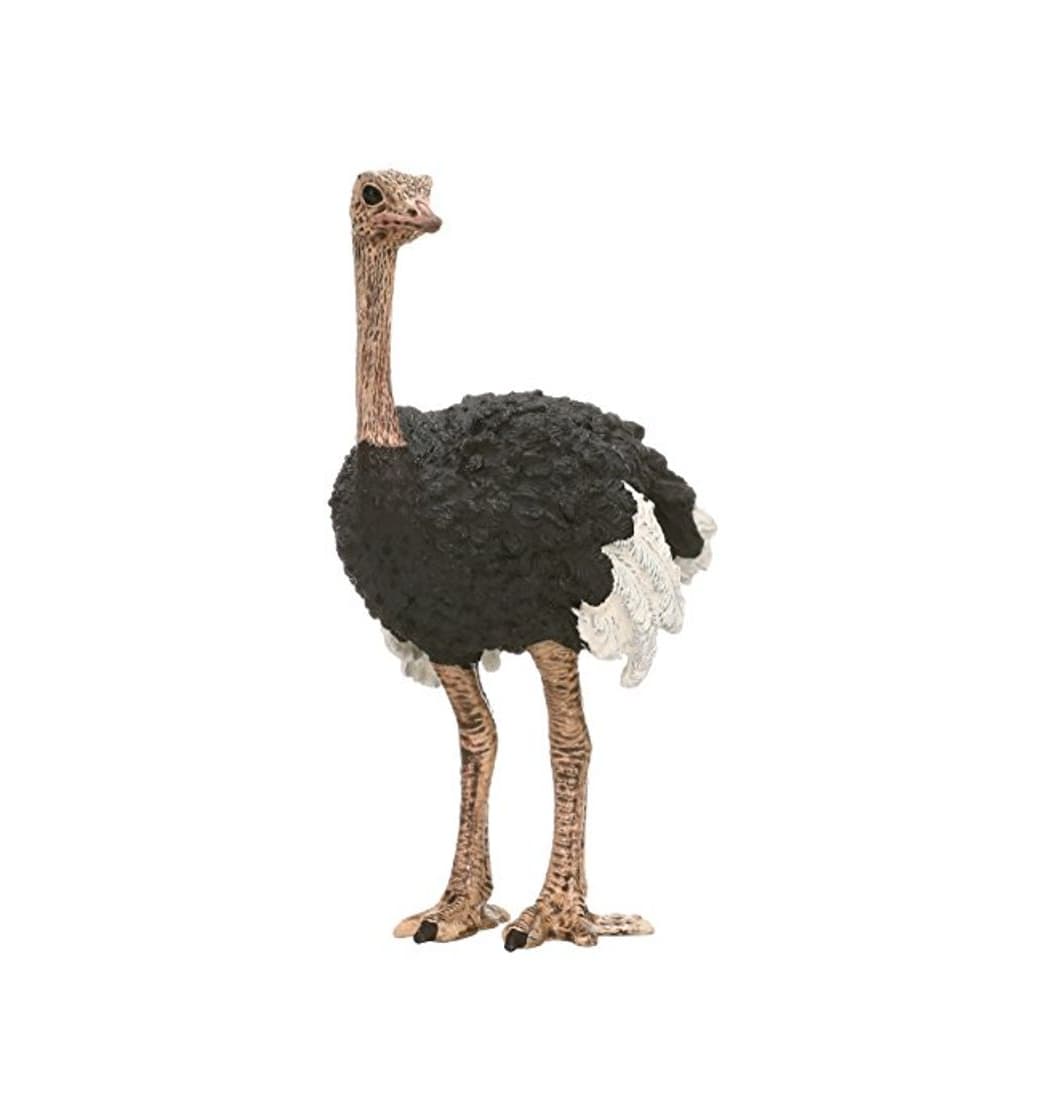 Producto Schleich - Figura Avestruz