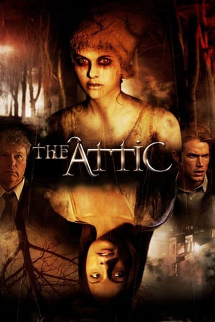 Movie The Attic