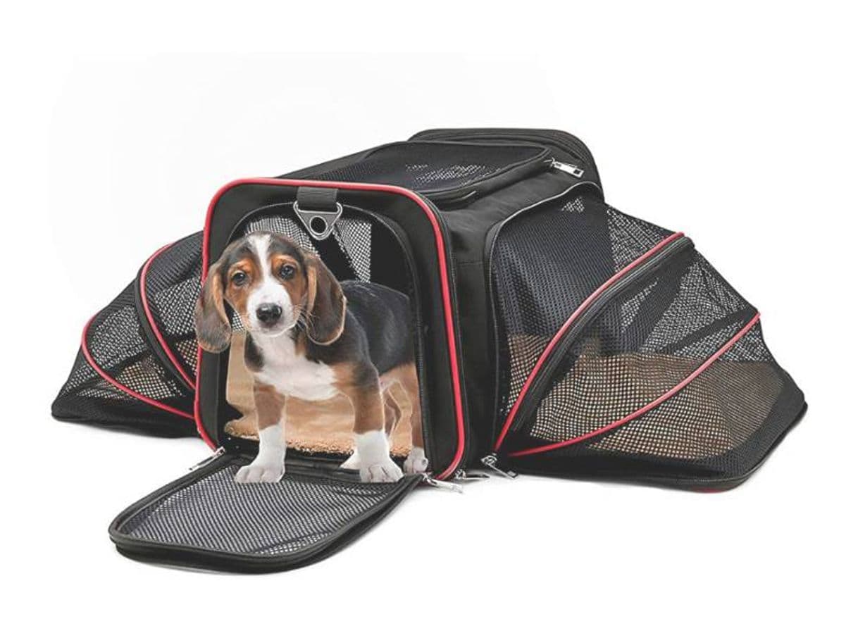 Fashion Bolsa transporte para pet