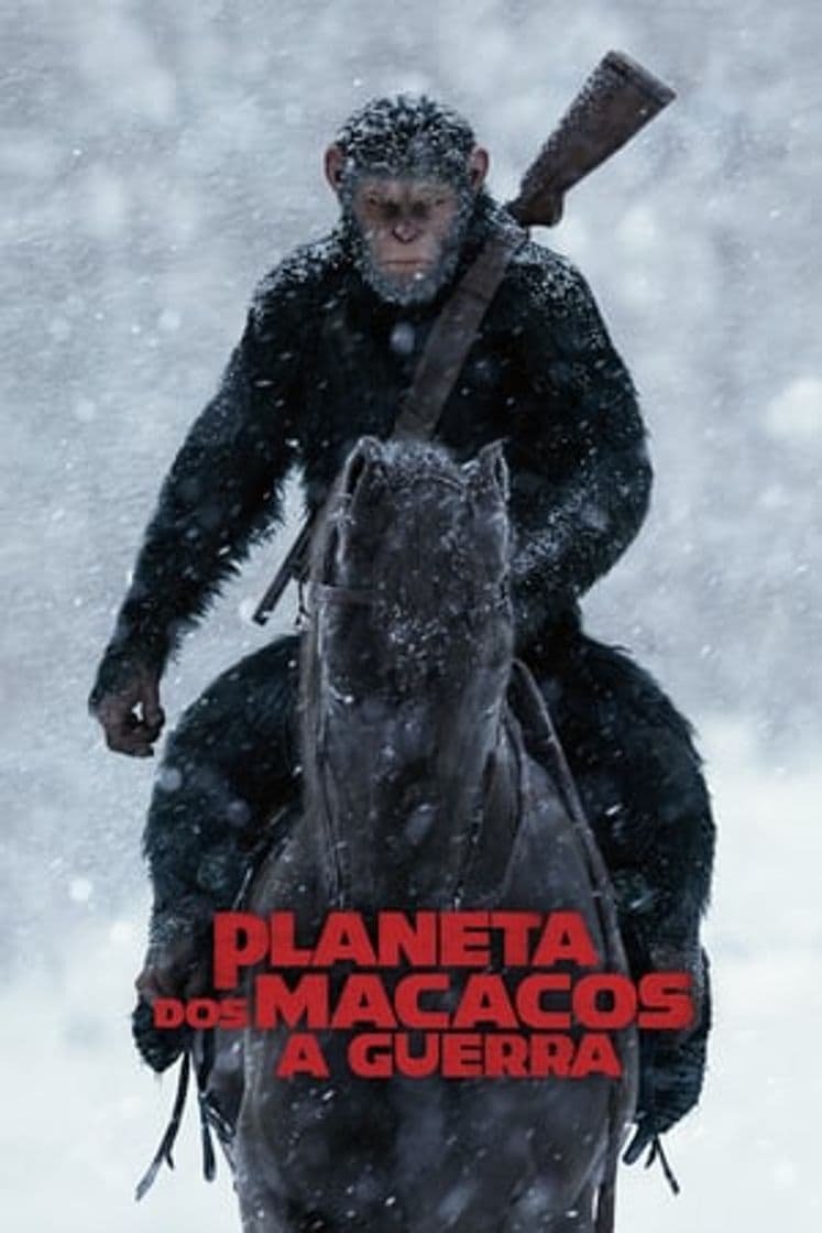 Película War for the Planet of the Apes