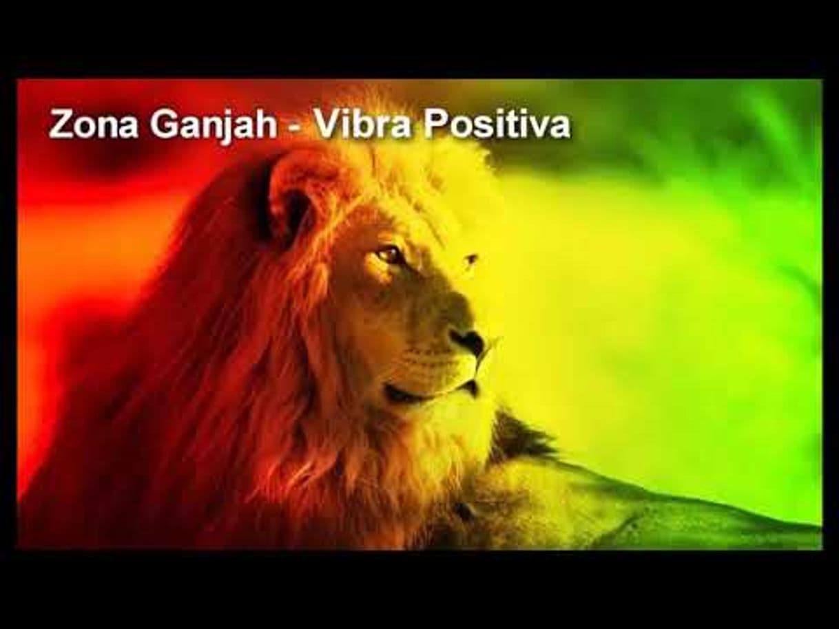 Music Vibra Positiva