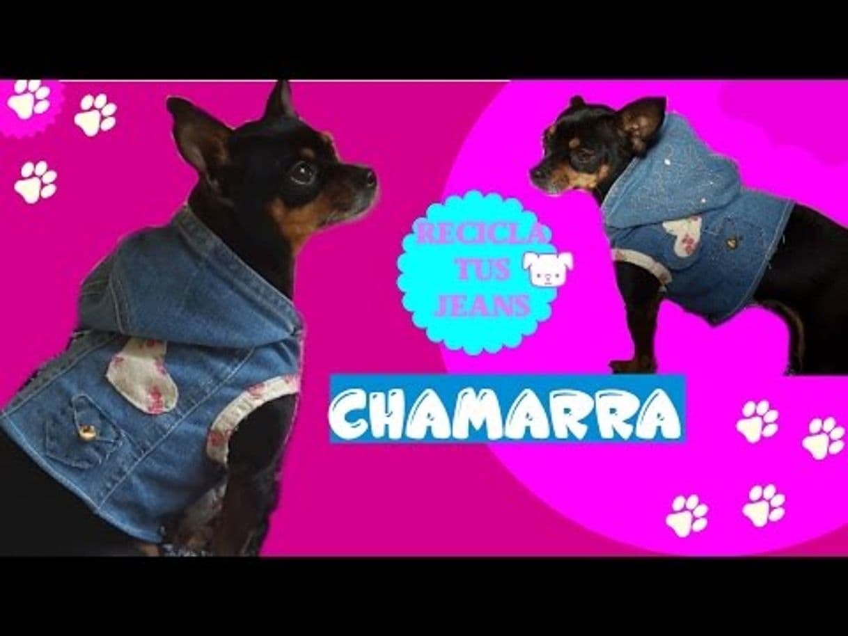 Fashion LINK PARA CREAR ROPA PARA PERROS💖