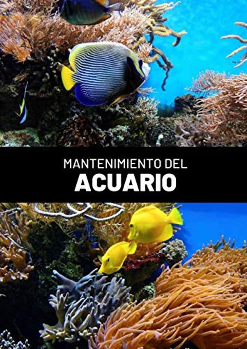 Libro Mantenimiento del Acuario: Este cuaderno te permitirá llevar un registro completo del