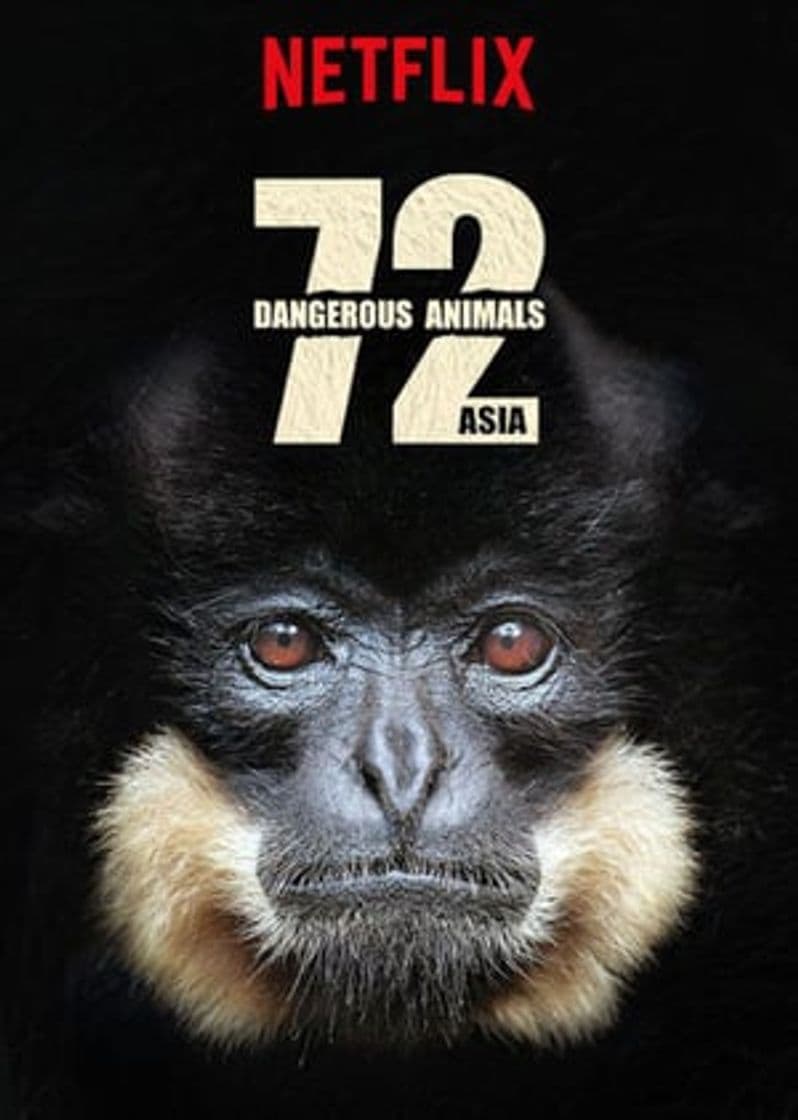 Serie 72 Dangerous Animals: Asia