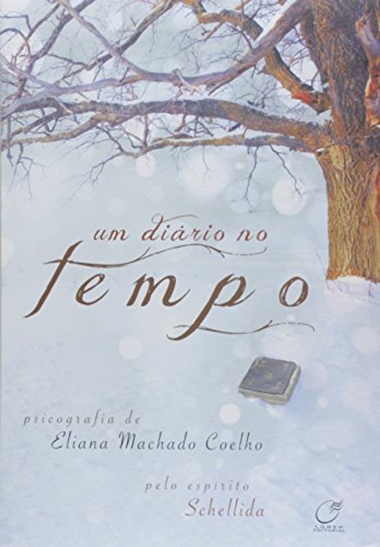 Book Um Diário no Tempo