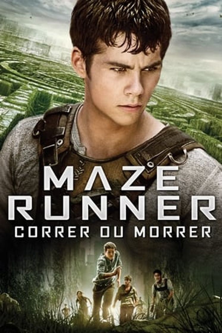 Película The Maze Runner