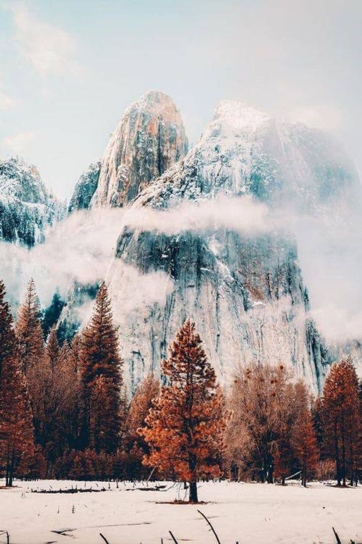 Lugar Yosemite