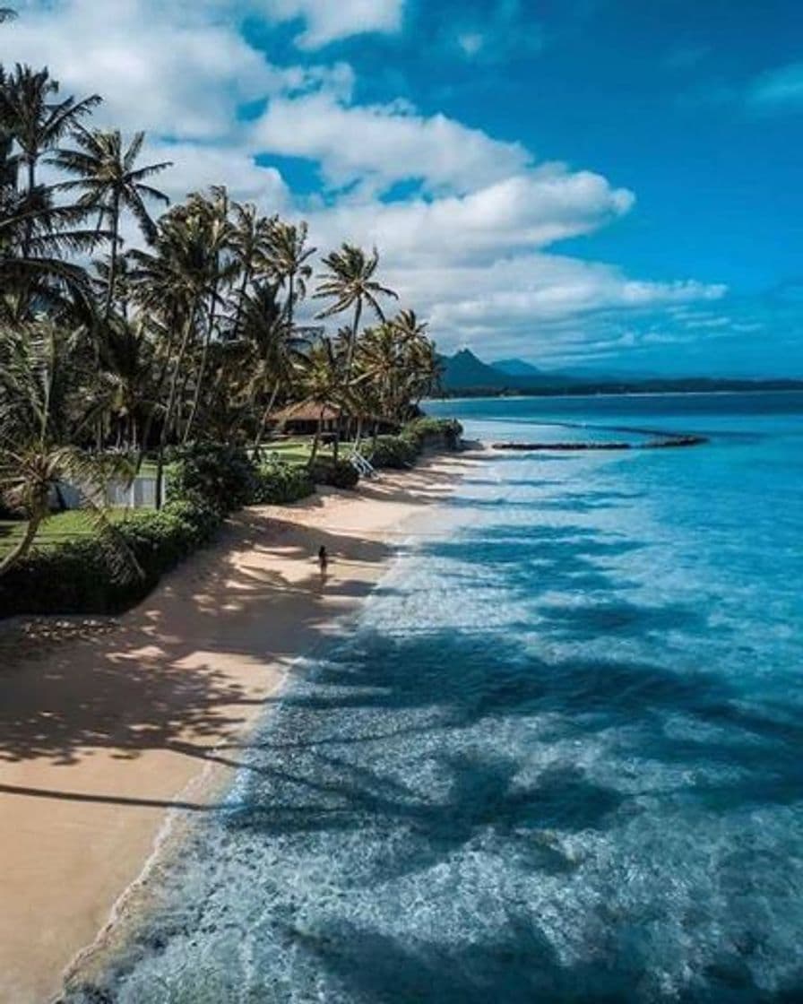 Lugar Oahu, Hawaii 🏖