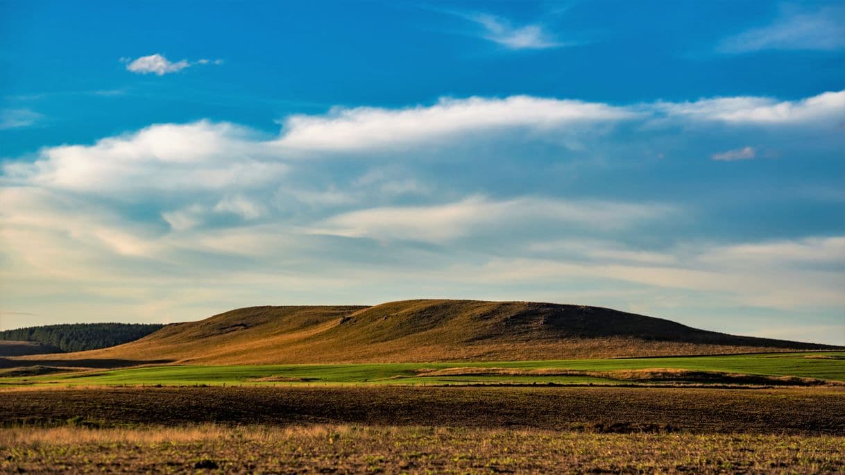 Moda Paisagem