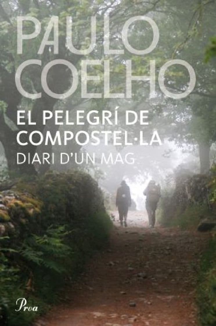 Libro El Pelegrí De Compostel·la: Diari d'un mag