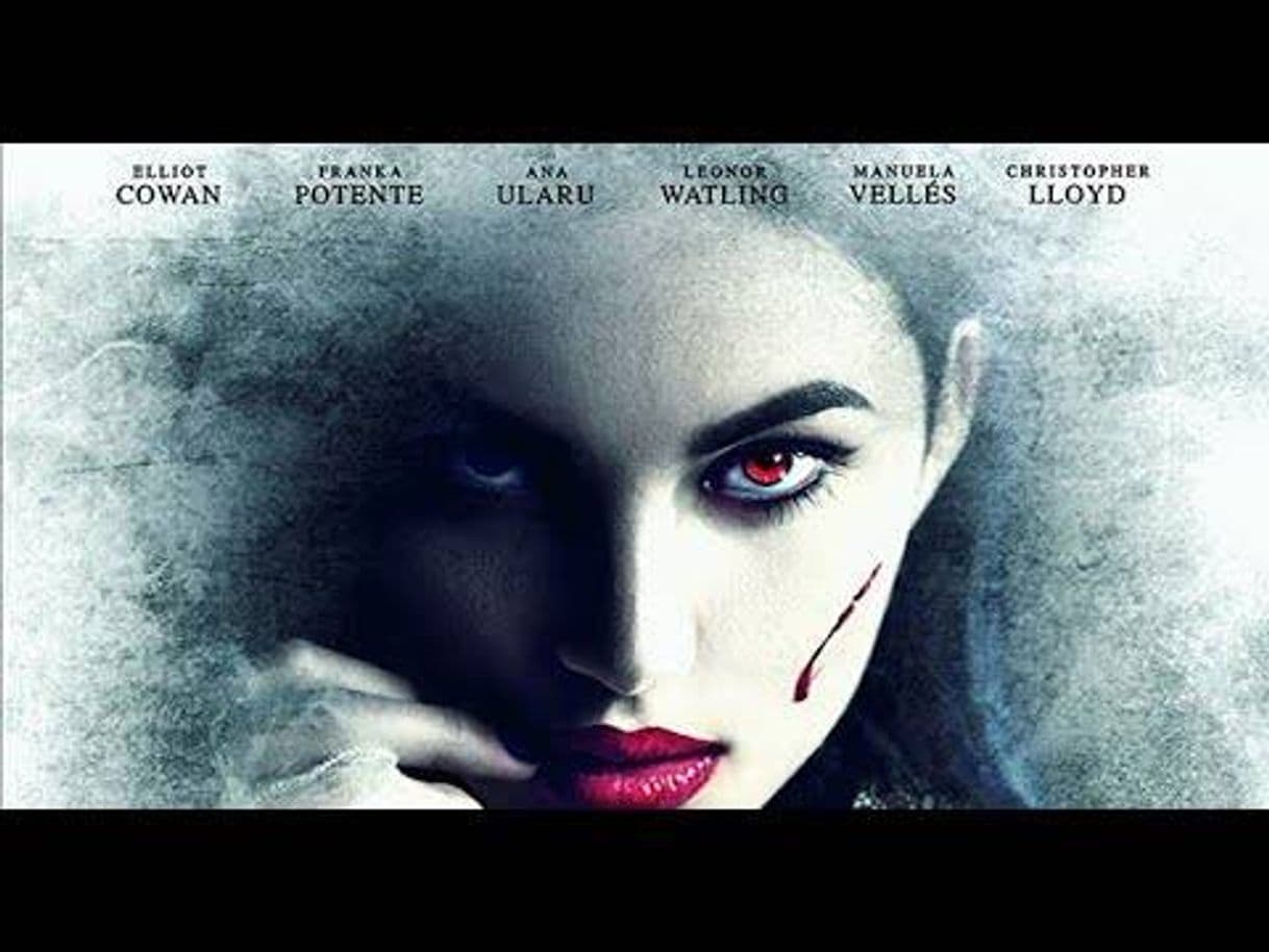 Fashion ESTRENO MEJOR PELÍCULAS DE SUSPENSO, TERROR | NETFLIX | Pelí