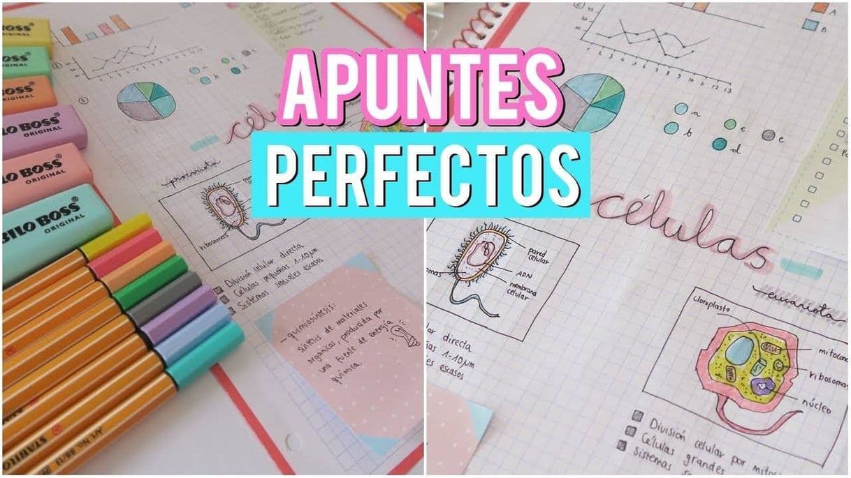 Moda ¡Más apuntes lindos! Rápido y fácil. ✨♥️