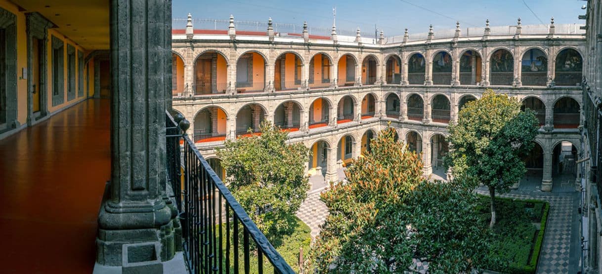 Lugar Antiguo Colegio de San Ildefonso