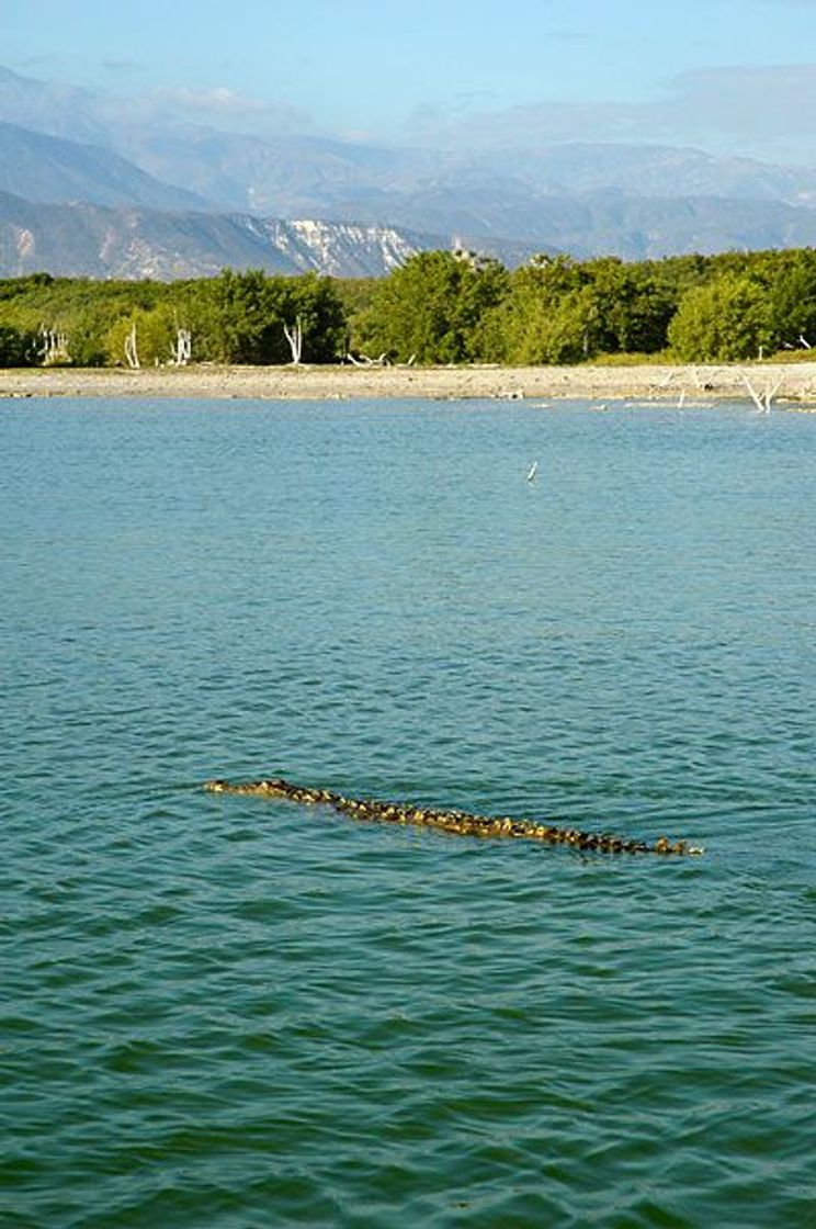 Lugar Lago Enriquillo