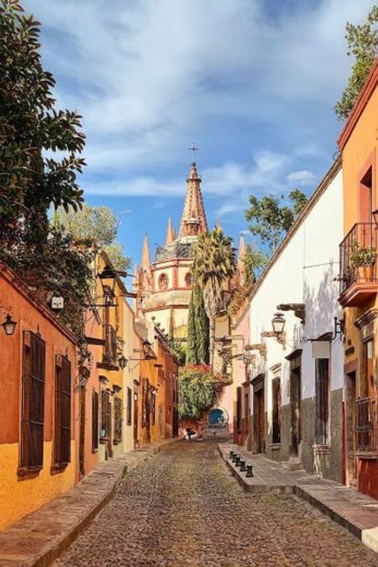 Place San Miguel de Allende