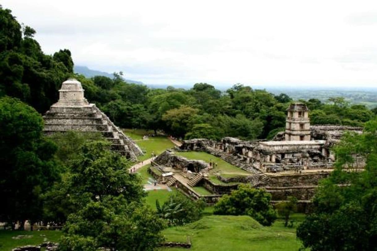 Lugar Palenque