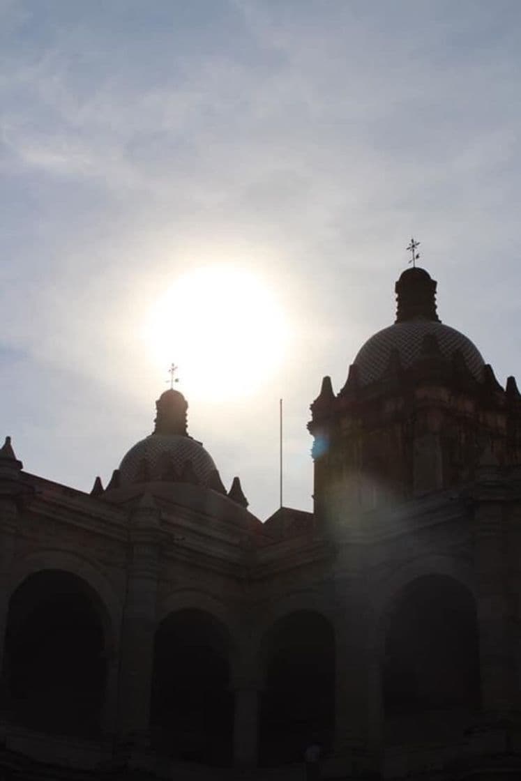 Lugar Museo de las Culturas de Oaxaca, Santo Domingo