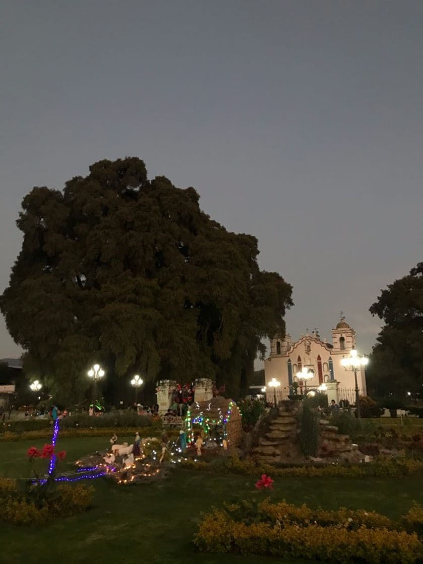 Lugar Templo Santa María de la Asunción