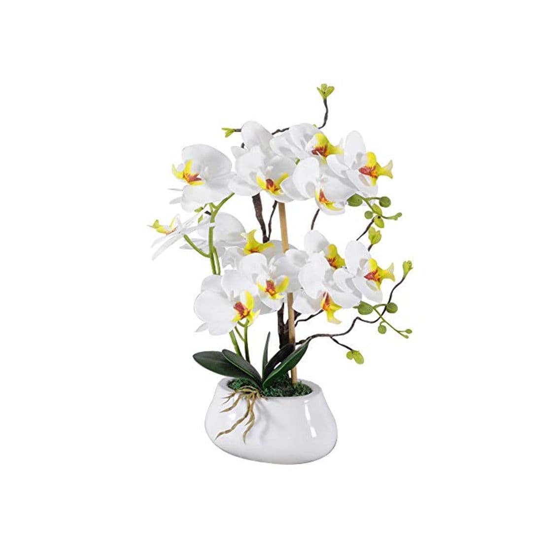 Producto VIVILINEN Flores Artificiales Plásticos Flor de Phalaenopsis Realistas Orquídea Mariposa con Maceta