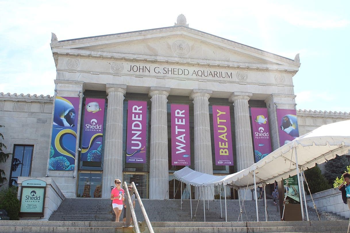 Place Shedd Aquarium