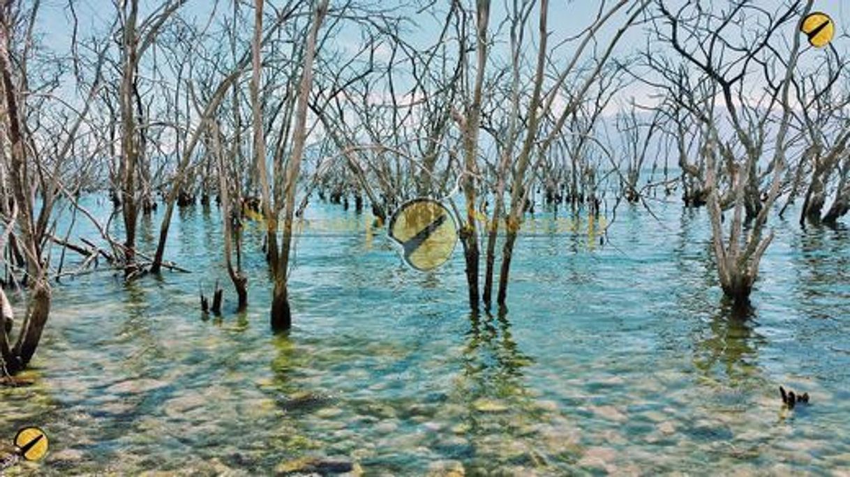 Place Parque Nacional Lago Enriquillo