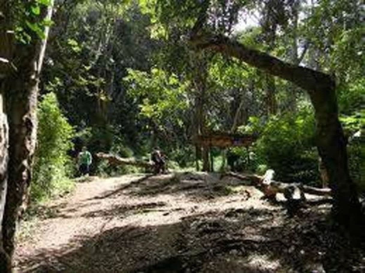 Lugar Parque Nacional El Ávila